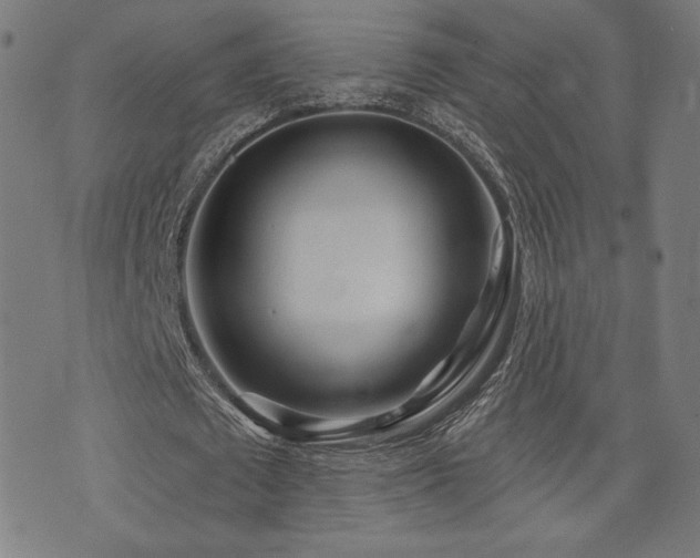 X0000072990673200607211159