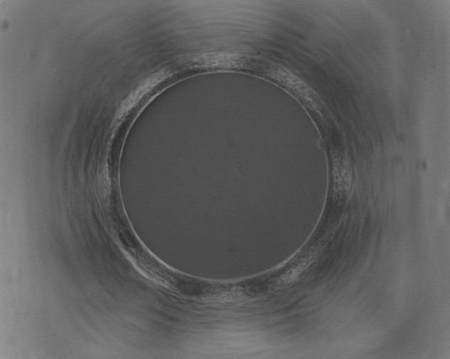 X0000072990674200607211159