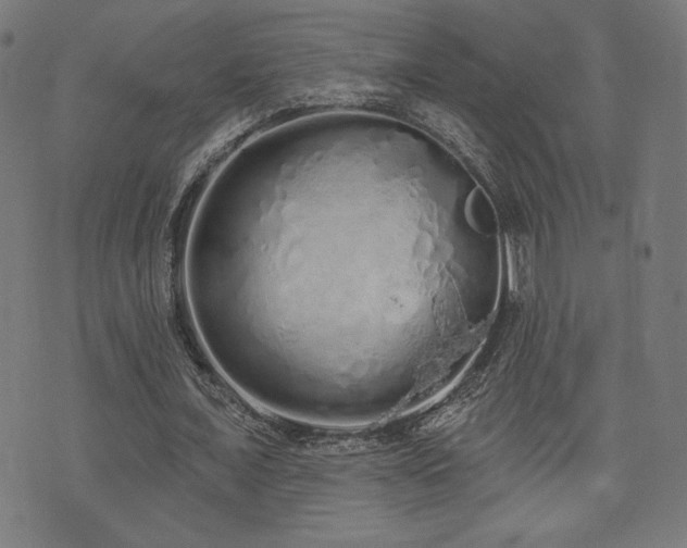 X0000072990675200607211159