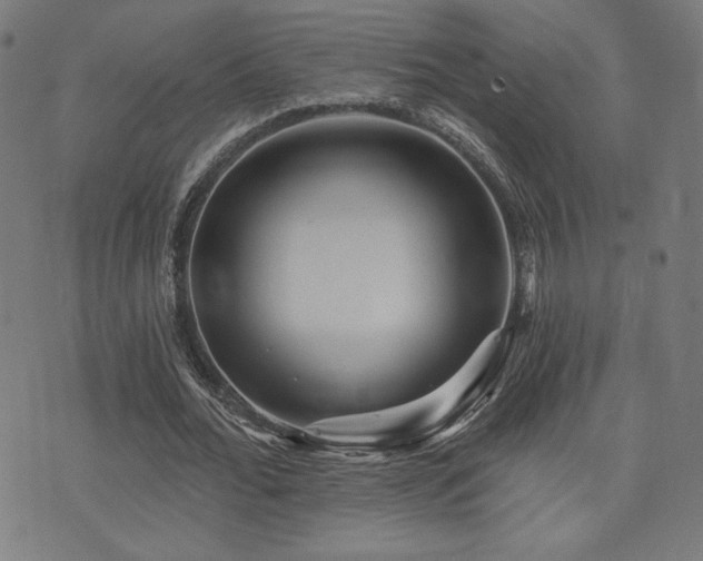 X0000072990676200607211159