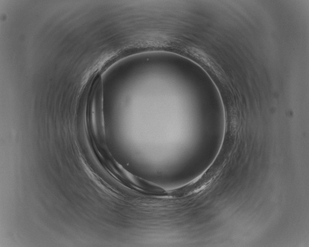 X0000072990677200607211159