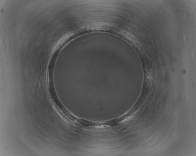 X0000072990678200607211159