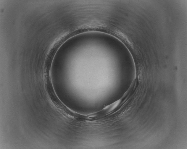 X0000072990680200607211159