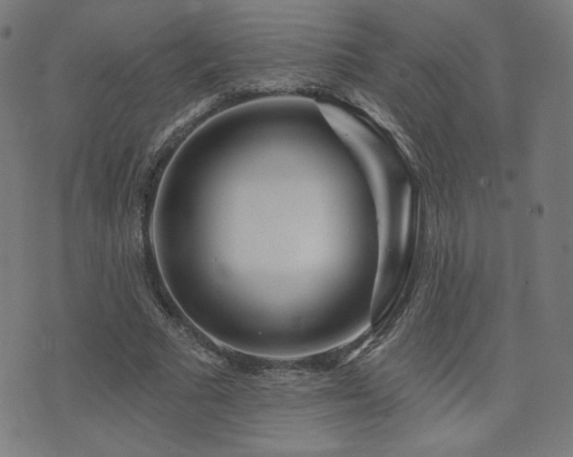 X0000072990681200607211159