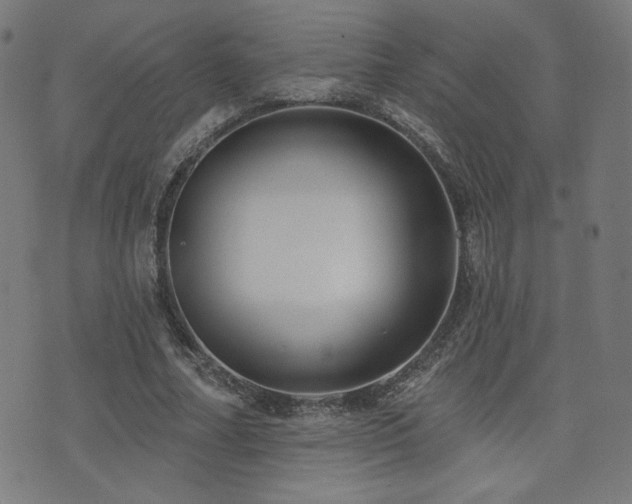 X0000072990682200607211159