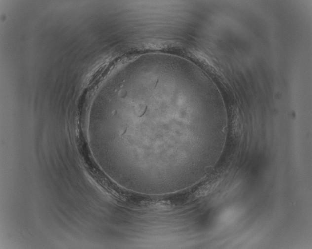 X0000072990683200607211159