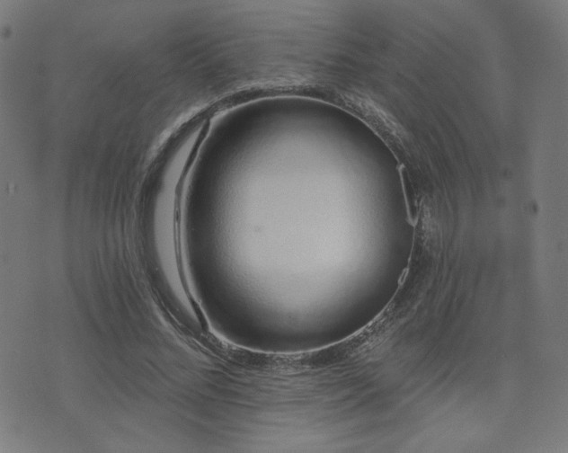 X0000072990684200607211159