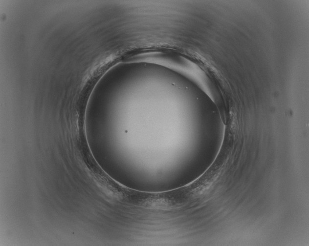 X0000072990685200607211159