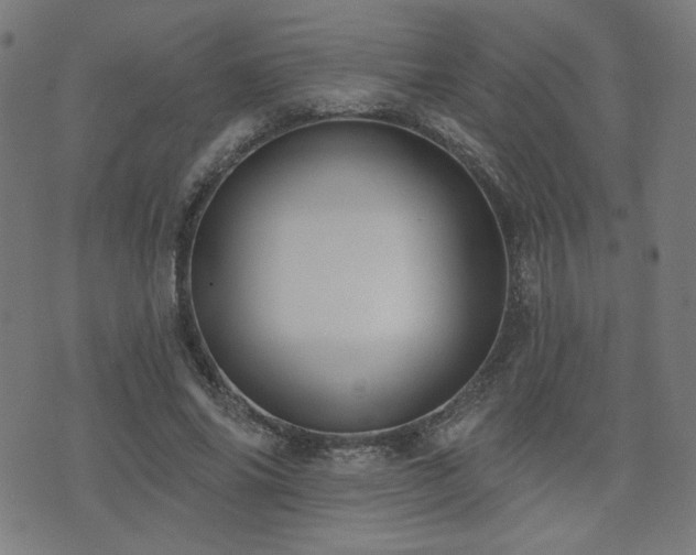 X0000072990686200607211159