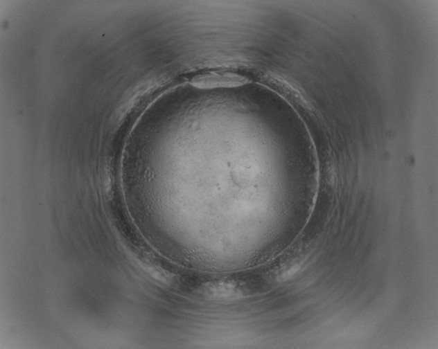 X0000072990687200607211159