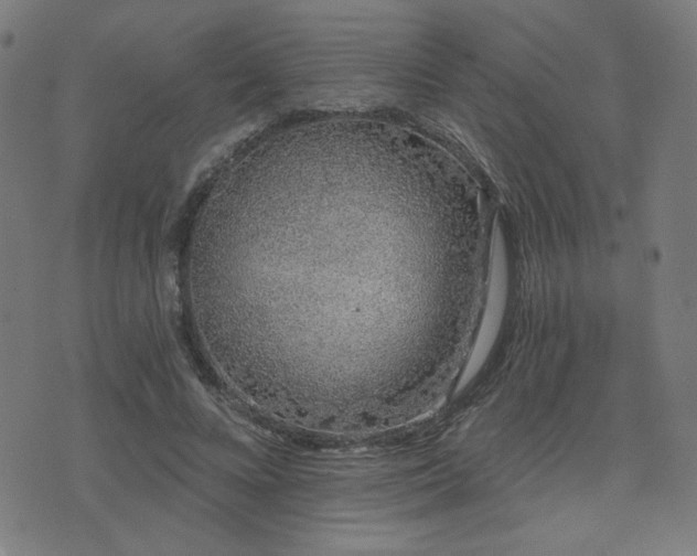 X0000072990688200607211159