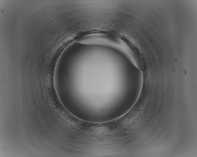 X0000072990689200607211159