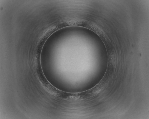 X0000072990690200607211159