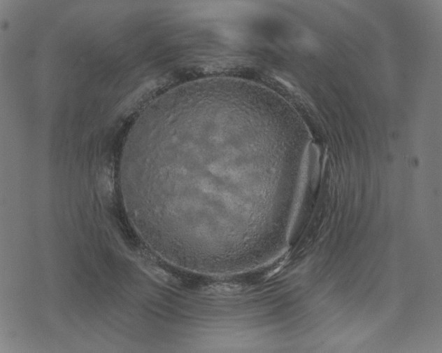 X0000072990691200607211159