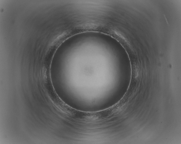 X0000072990692200607211159