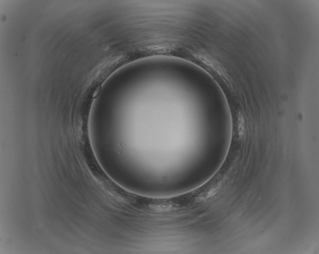 X0000072990693200607211159