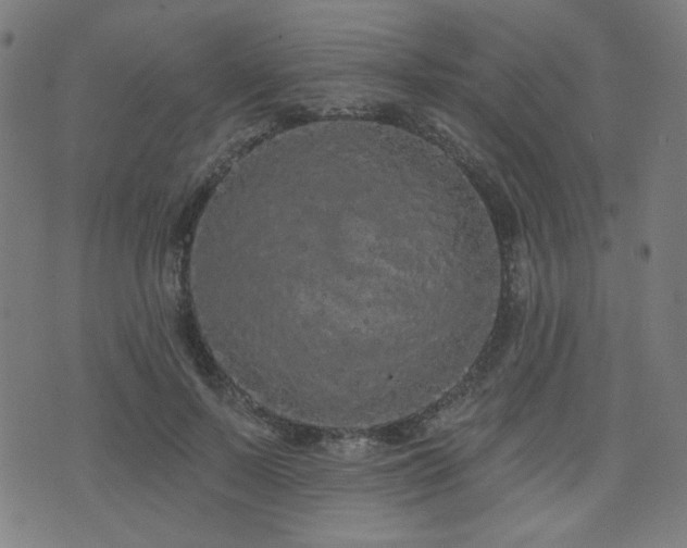 X0000072990695200607211159