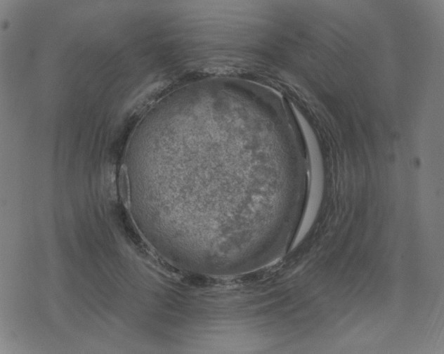 X0000072990696200607211159