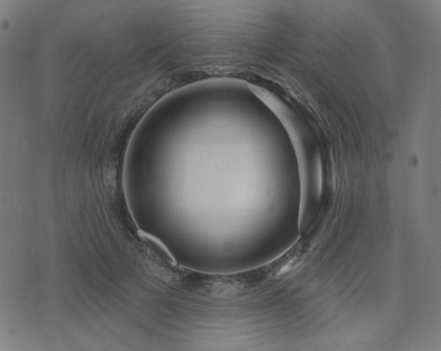 X0000072990697200607211159