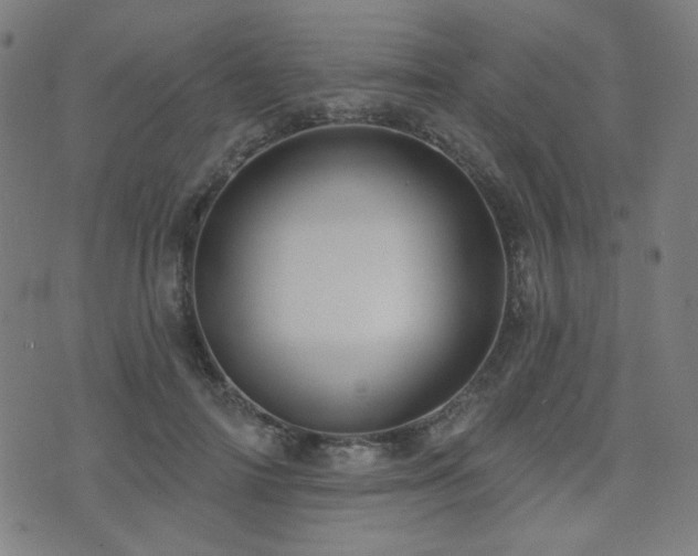 X0000072990698200607211159