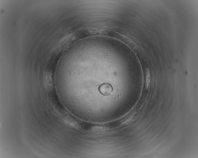 X0000072990699200607211159