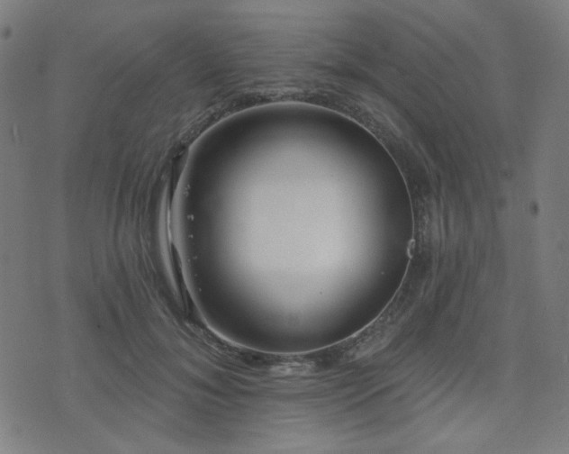 X0000072990700200607211159