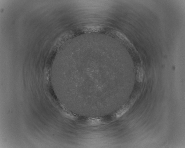 X0000072990701200607211159