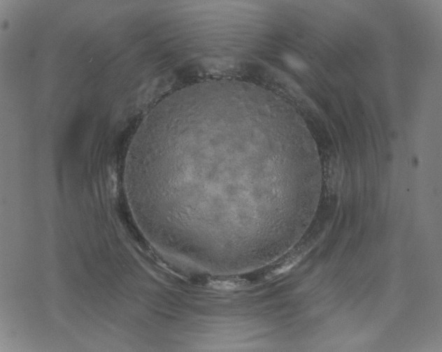 X0000072990703200607211159