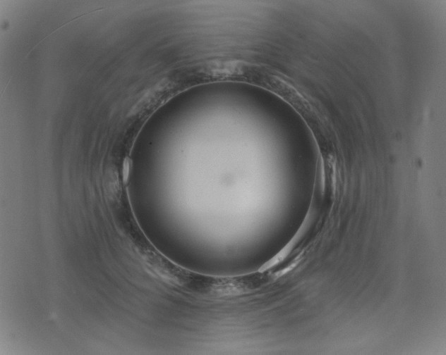 X0000072990704200607211159