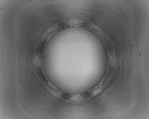 X0000072990705200607211159