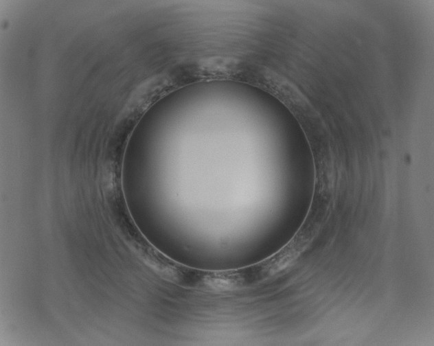 X0000072990706200607211159