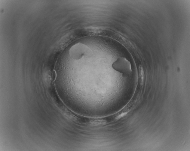 X0000072990707200607211159