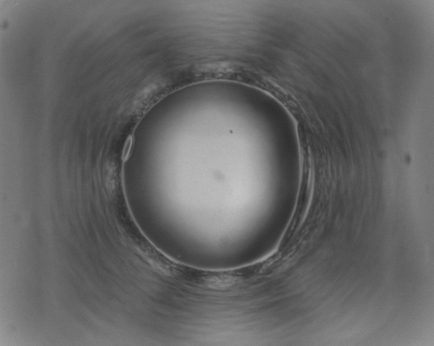 X0000072990708200607211159