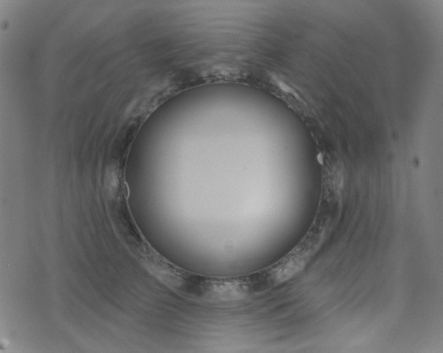 X0000072990709200607211159