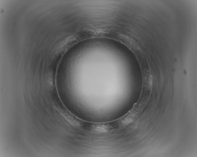 X0000072990710200607211159