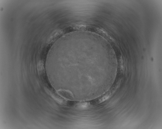 X0000072990711200607211159