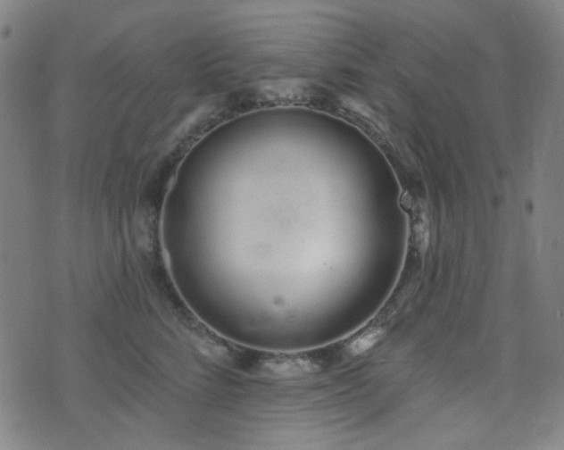 X0000072990712200607211159