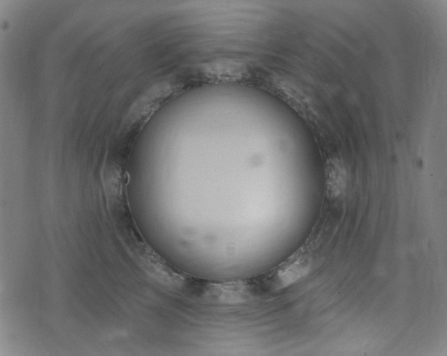 X0000072990713200607211159