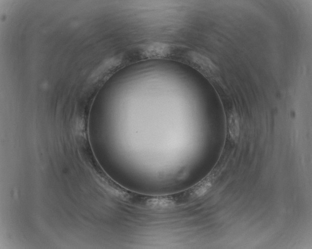 X0000072990714200607211159