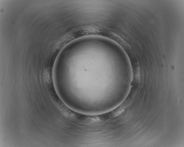 X0000072990715200607211159