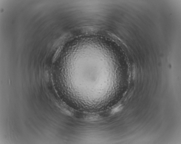 X0000072990716200607211159