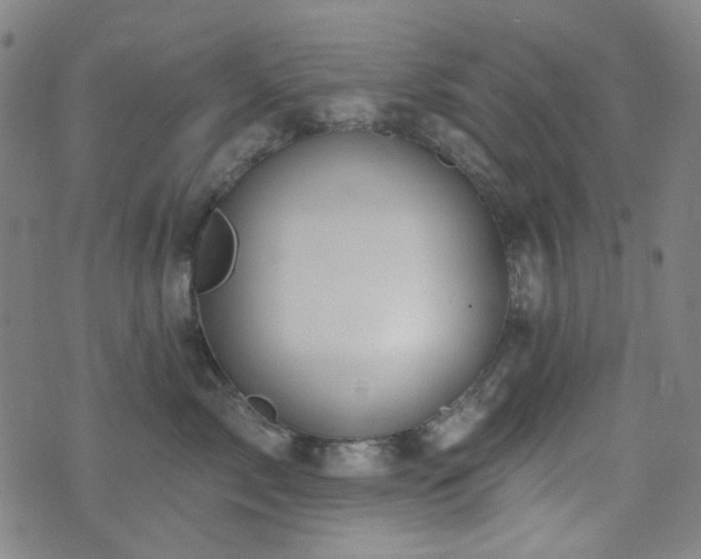 X0000072990717200607211159