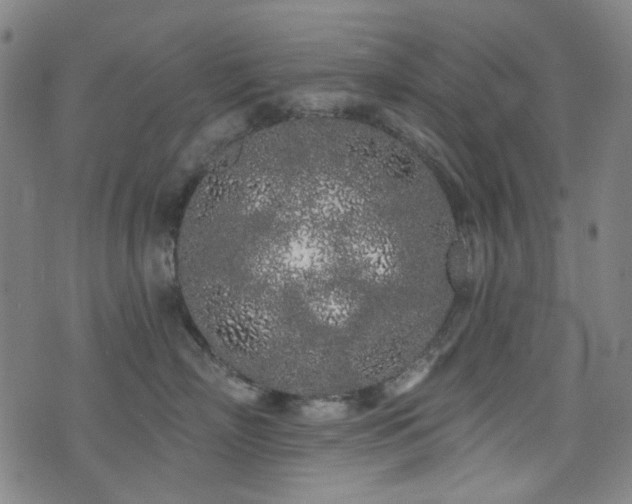 X0000072990718200607211159