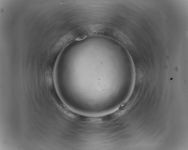 X0000072990719200607211159