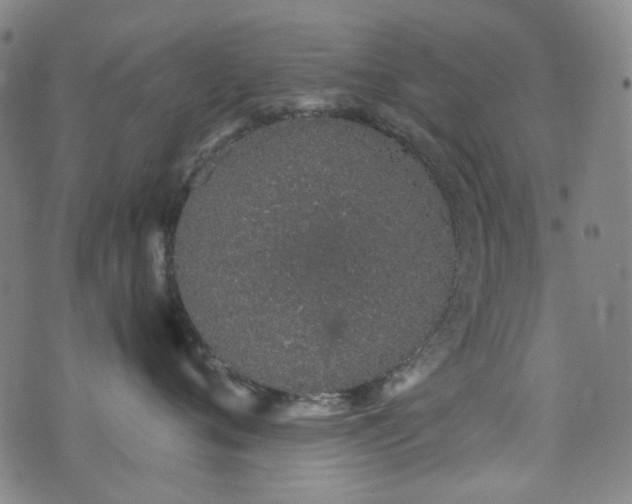 X0000072990720200607211159