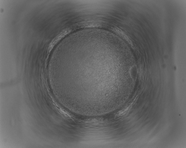 X0000072990721200607211158