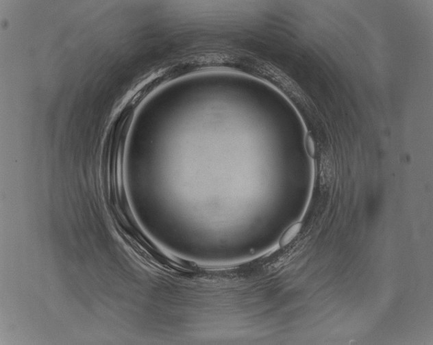 X0000072990722200607211158