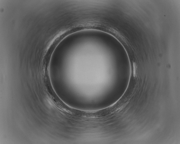 X0000072990723200607211158