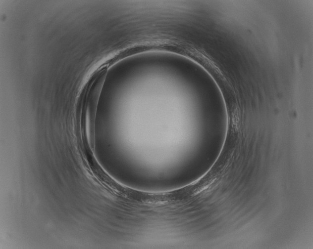 X0000072990724200607211158