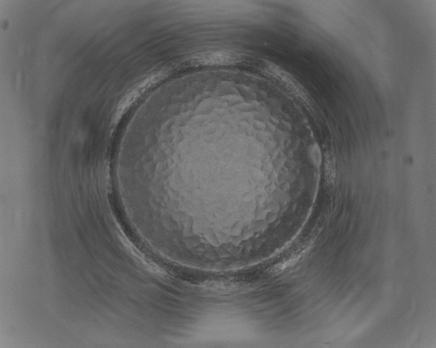 X0000072990725200607211158